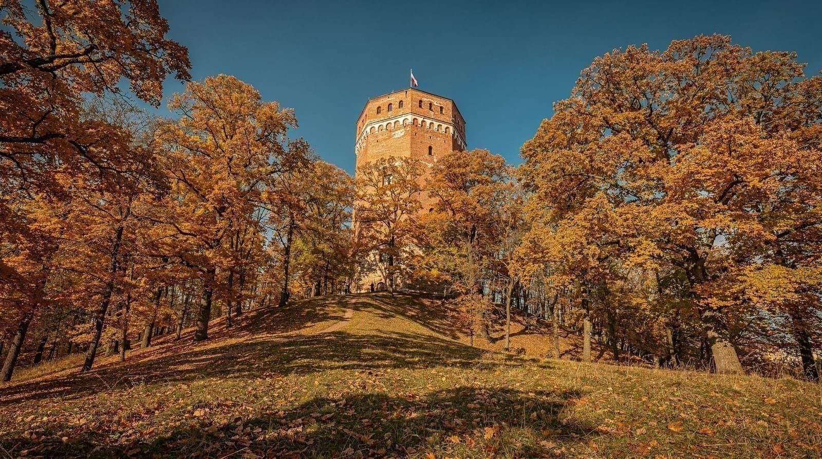 Gediminas-Turm und Burg – Besucherführer