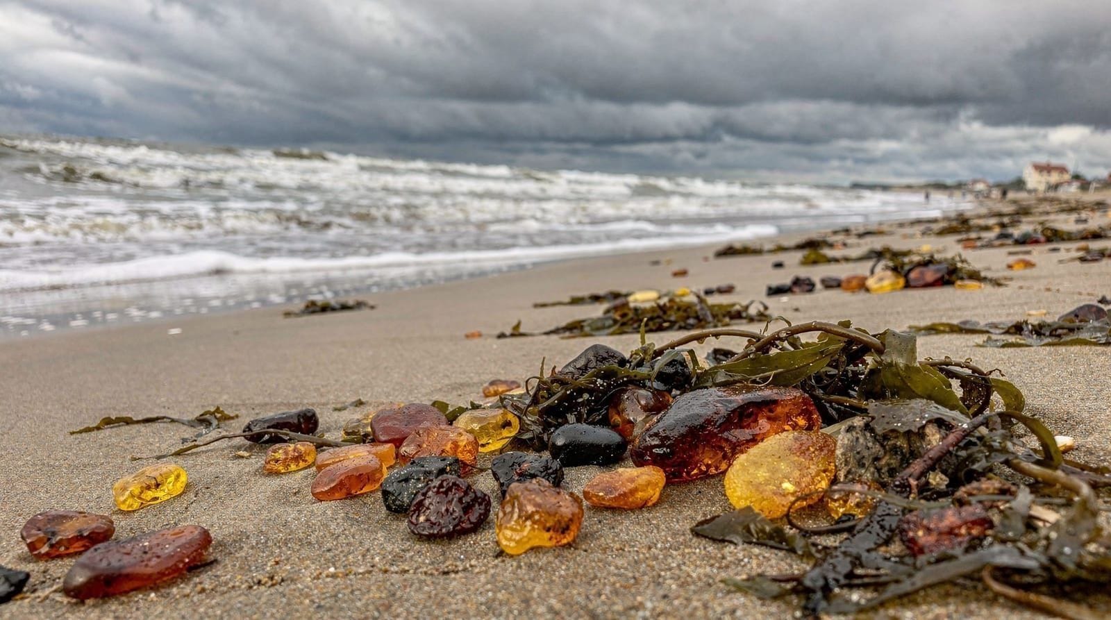 Klaipėda: Amber hunting curonian spit private