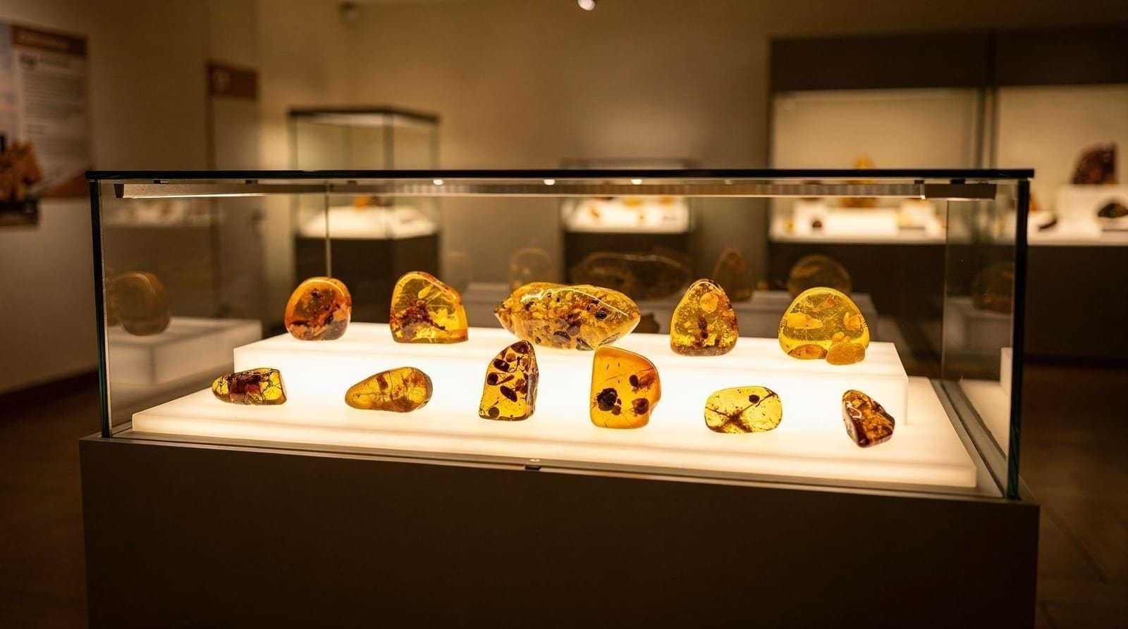 Palanga: Klaipeda palanga amber museum guided tour