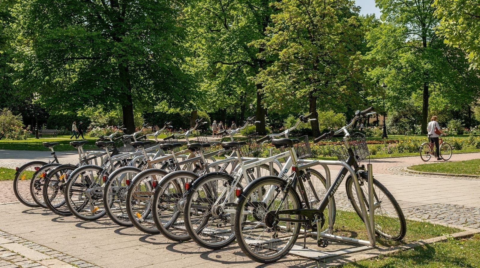 Vilnius: 1 day bike rental