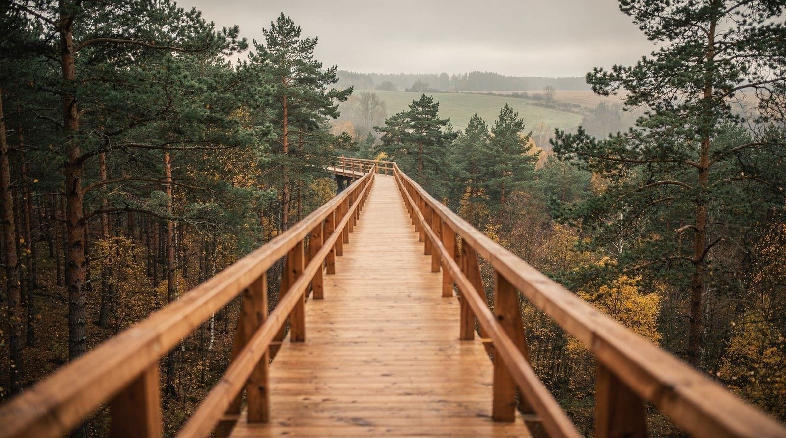 Vilnius: Anyksciai hill of crosses day trip