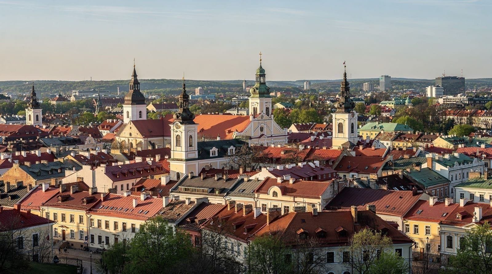 Vilnius: Panoramic walking tour