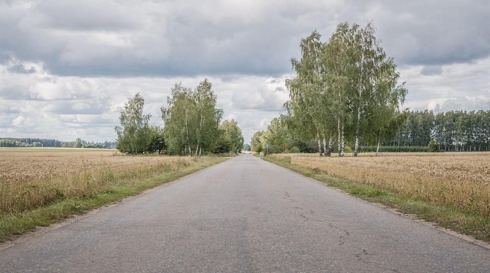 Šiauliai: Vilnius riga one way sightseeing transfer
